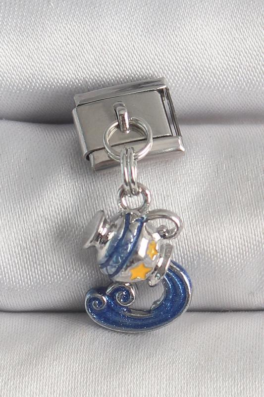 316L Çelik Gümüş Renk Sallantı Kova Burç Model Nomination Charm