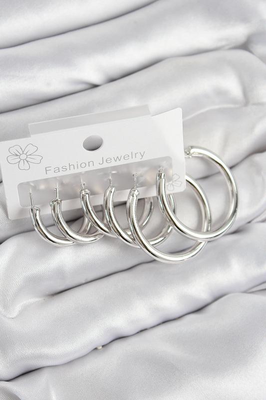 Pirinç Halka Model Gümüş Renk Kadın Set Küpe