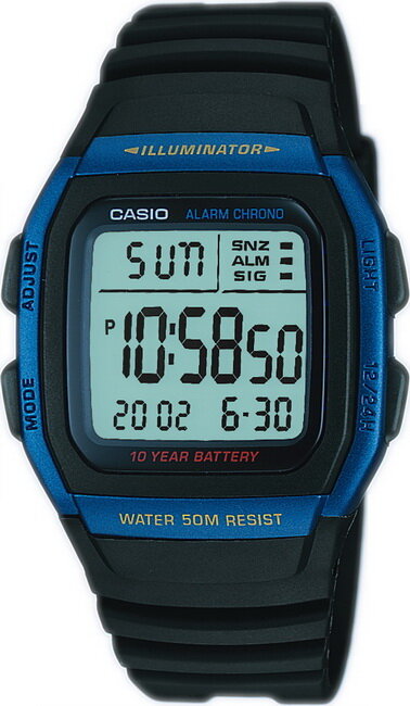 CASIO W-96H-2AVDF ERKEK KOL SAATİ