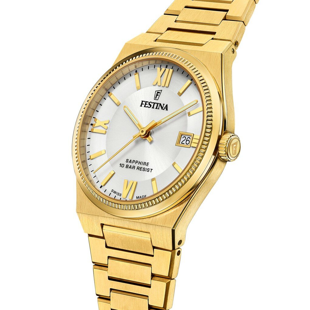 FESTINA SWISS F20038/1 ERKEK KOL SAATİ
