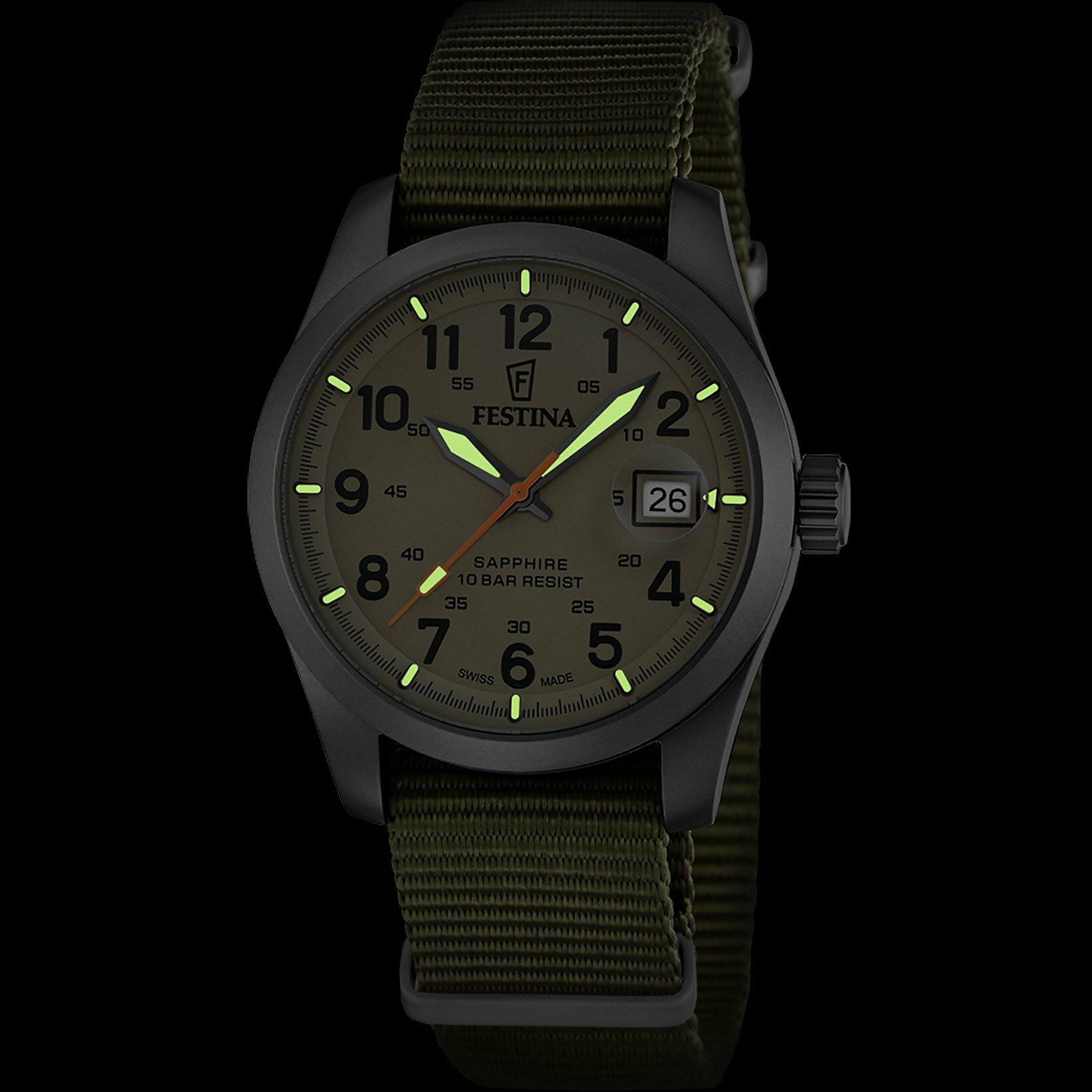 FESTINA SWISS F20082/1 ERKEK KOL SAATİ
